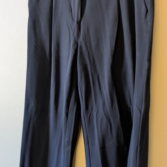 American Eagle Flat Wide Leg Pant - Picture 6 of 14